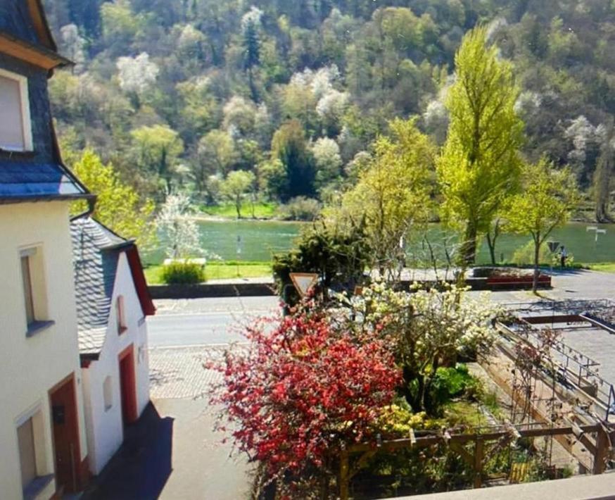 Ferienhaus Moselblick Am Kapellchen Ediger-Eller Eksteriør billede